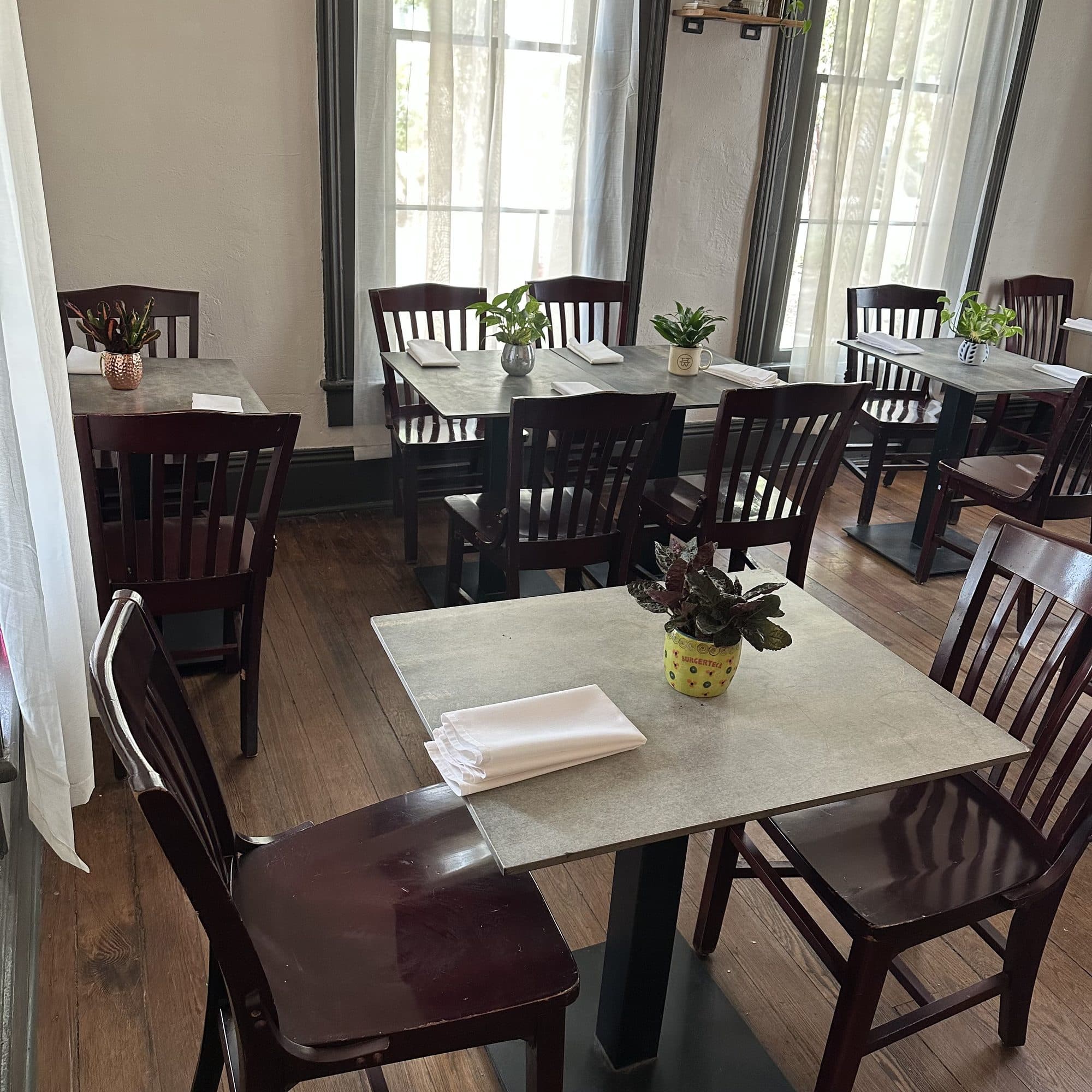 Sunlit dining room with dark wood chairs and potted plants on every table